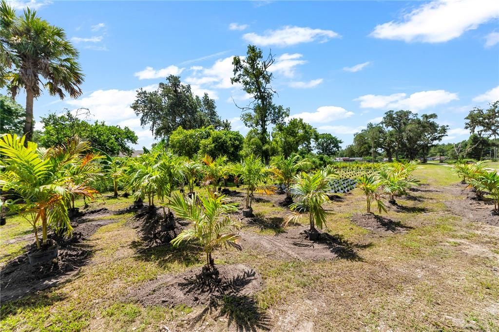 На продажу: $1,999,999 (3.85 acres)