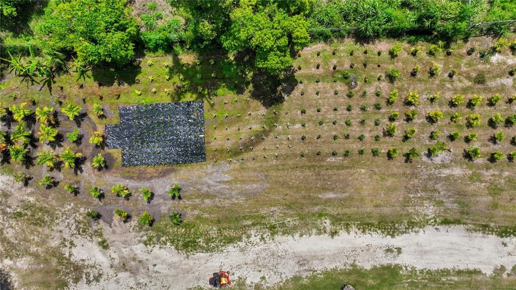 На продажу: $1,999,999 (3.85 acres)