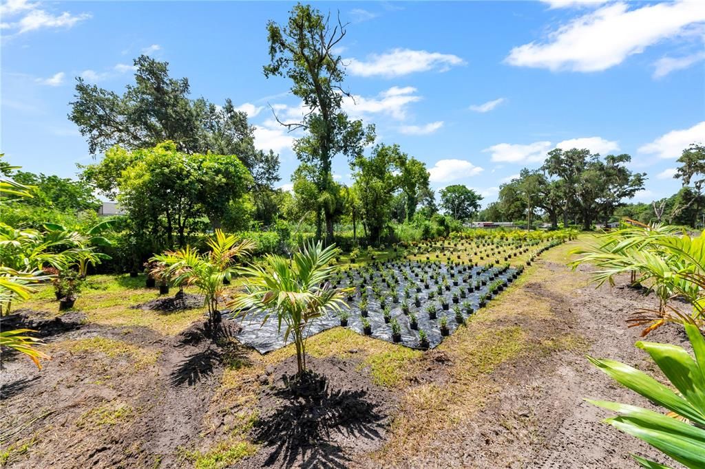 На продажу: $1,999,999 (3.85 acres)