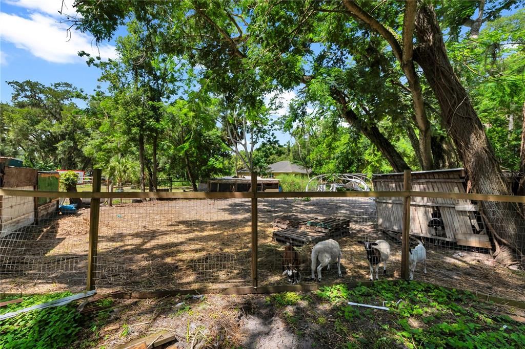 На продажу: $1,999,999 (3.85 acres)