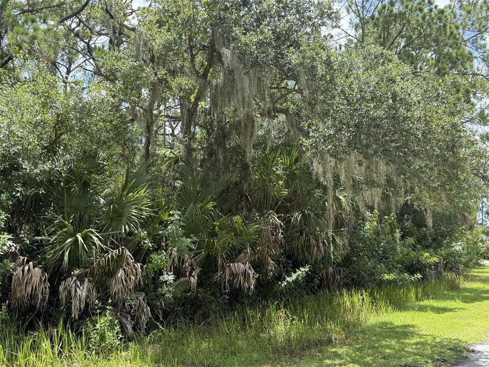 For Sale: $49,900 (0.46 acres)