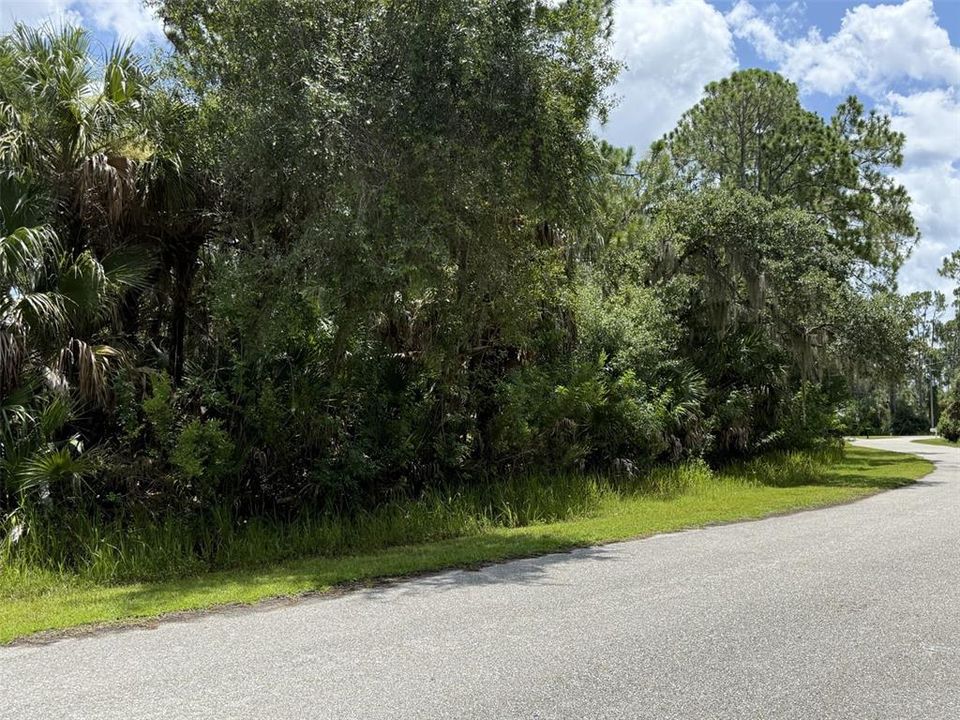 For Sale: $49,900 (0.46 acres)