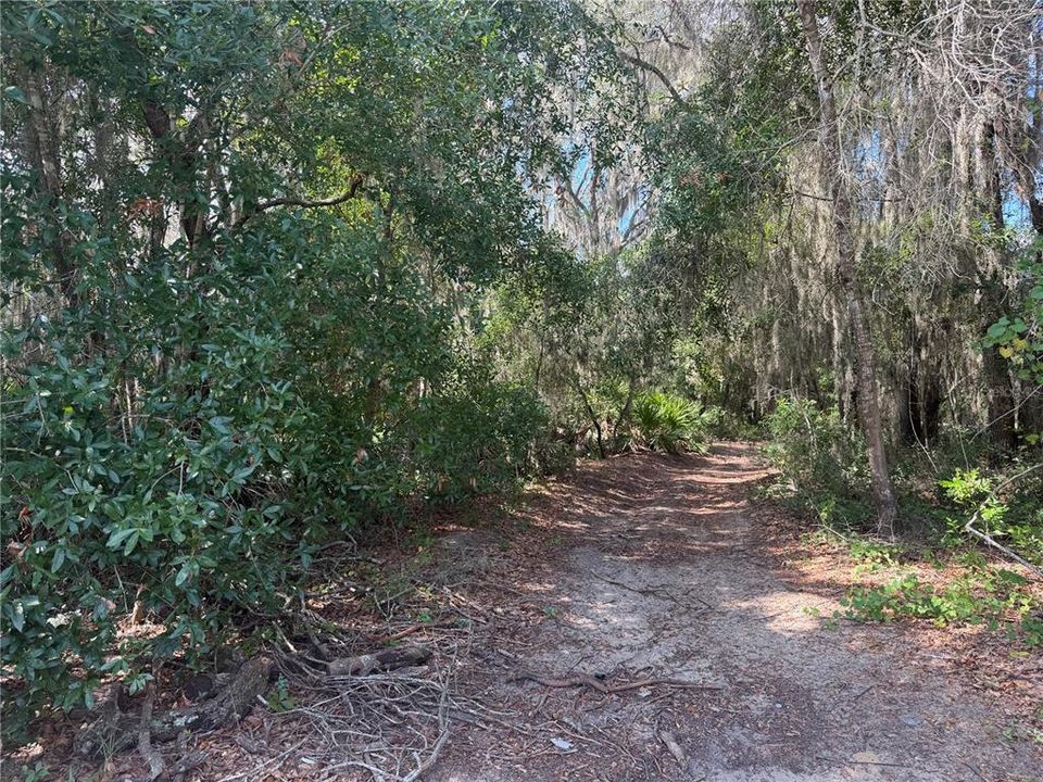 На продажу: $37,000 (0.59 acres)