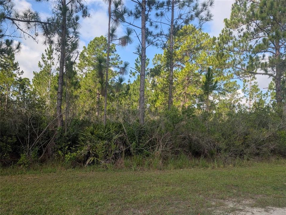 На продажу: $20,000 (0.50 acres)