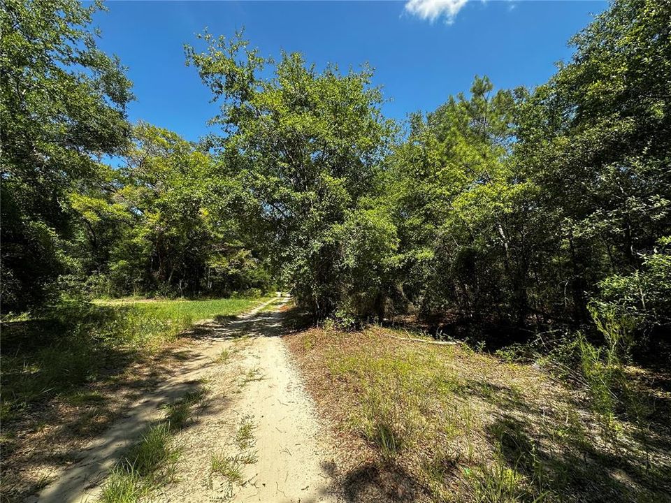 For Sale: $27,000 (1.25 acres)