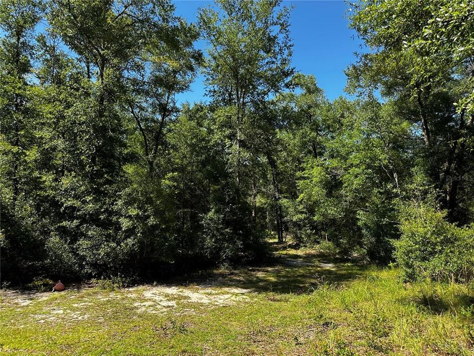 For Sale: $27,000 (1.25 acres)