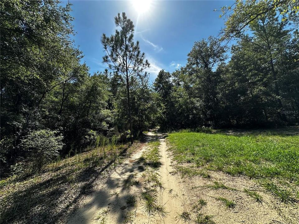 For Sale: $27,000 (1.25 acres)