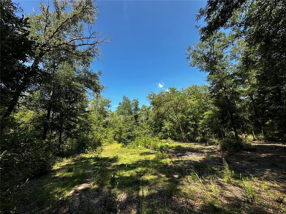 For Sale: $27,000 (1.25 acres)