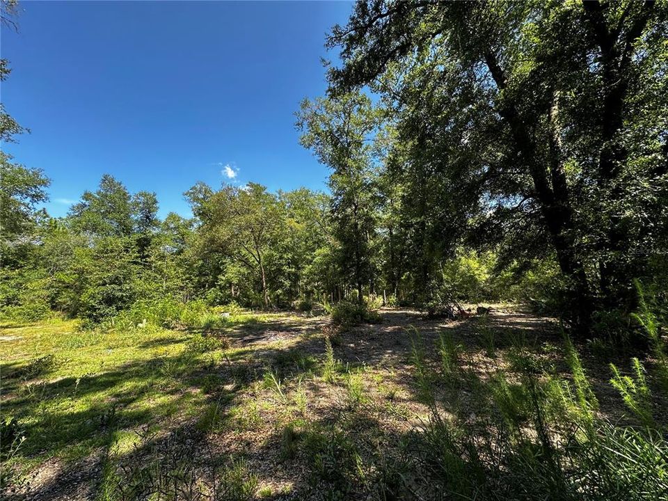 For Sale: $27,000 (1.25 acres)
