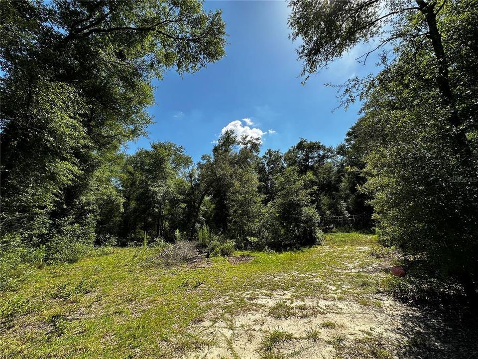 For Sale: $27,000 (1.25 acres)