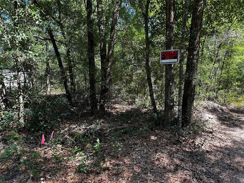 For Sale: $27,000 (1.25 acres)