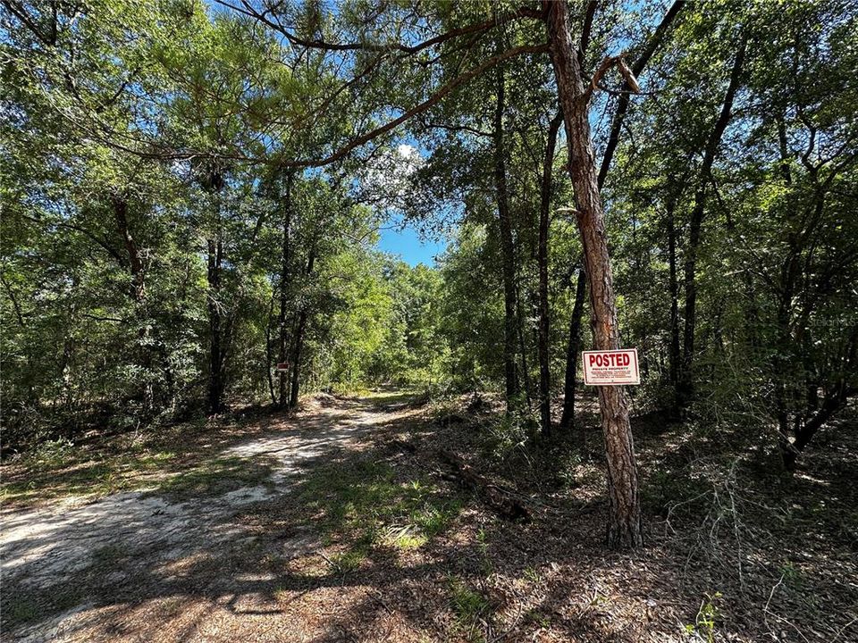 For Sale: $27,000 (1.25 acres)
