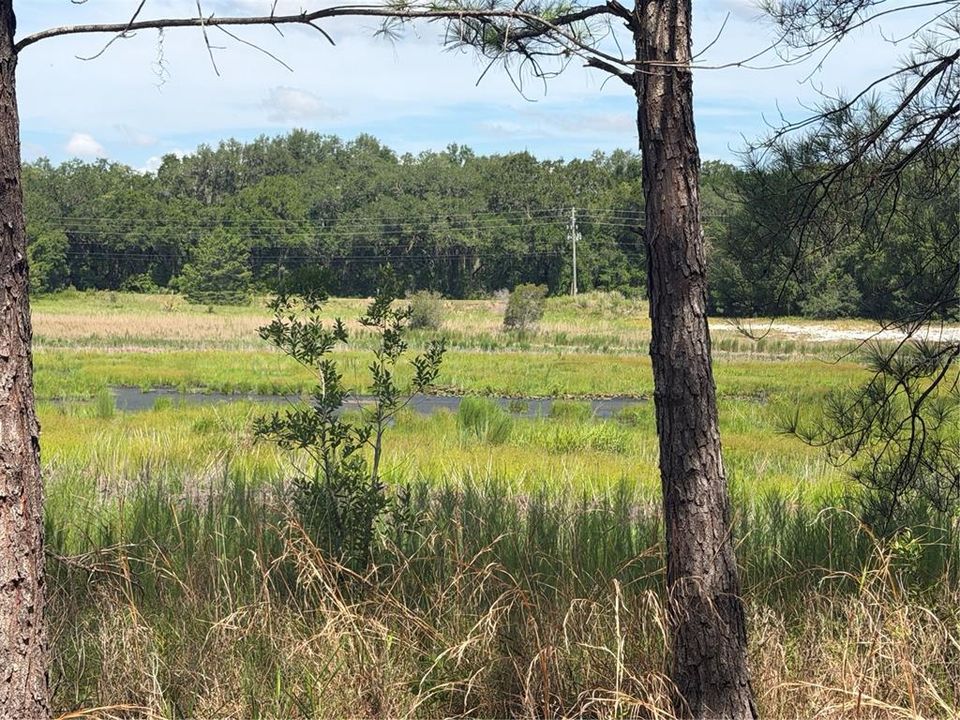 На продажу: $35,000 (0.28 acres)