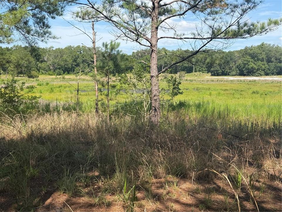 На продажу: $35,000 (0.28 acres)