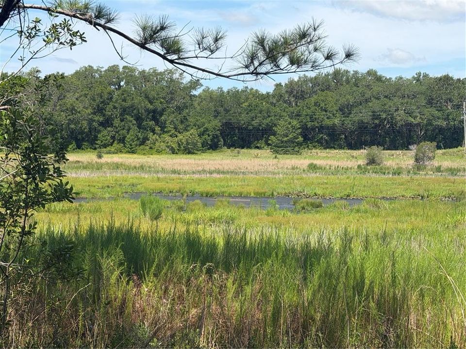 На продажу: $35,000 (0.28 acres)