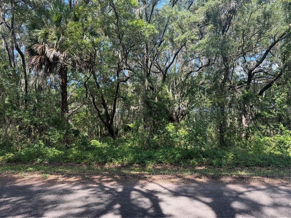 На продажу: $35,000 (0.28 acres)