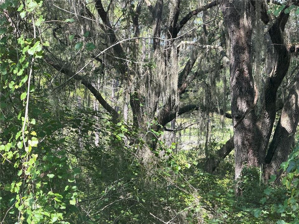 For Sale: $35,000 (0.29 acres)