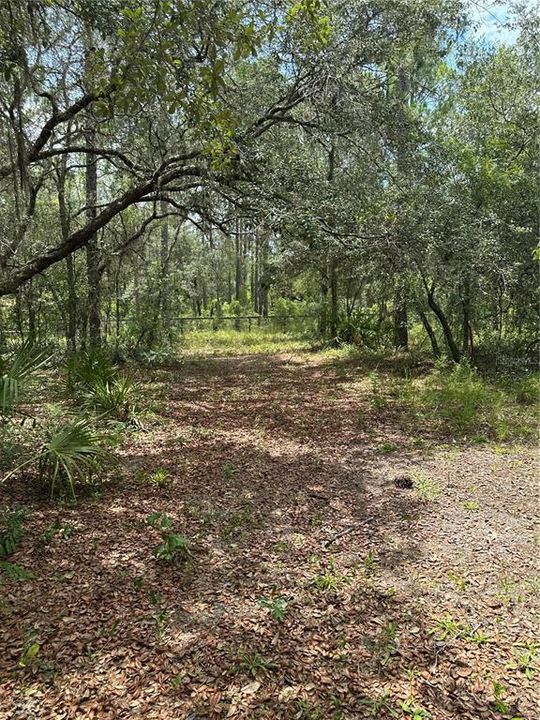 На продажу: $70,000 (2.29 acres)