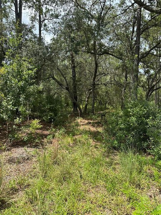 На продажу: $70,000 (2.29 acres)