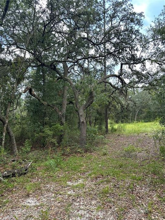 На продажу: $70,000 (2.29 acres)