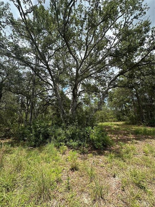 На продажу: $70,000 (2.29 acres)