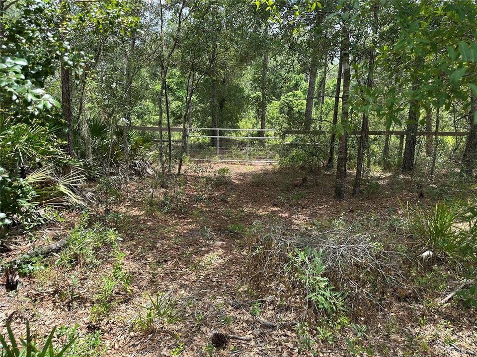 На продажу: $70,000 (2.29 acres)