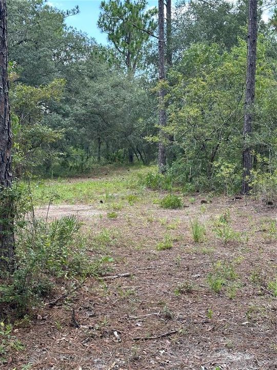 На продажу: $70,000 (2.29 acres)