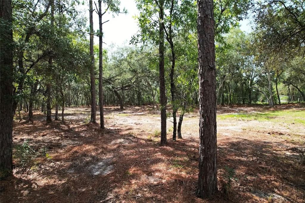 На продажу: $84,500 (2.42 acres)