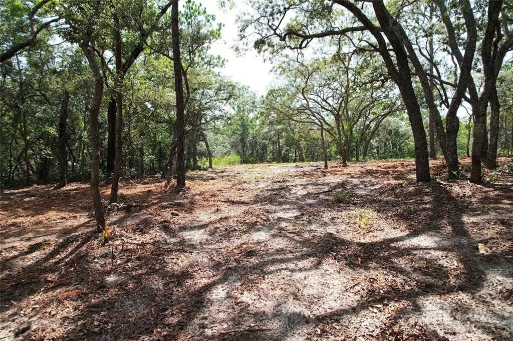 На продажу: $84,500 (2.42 acres)