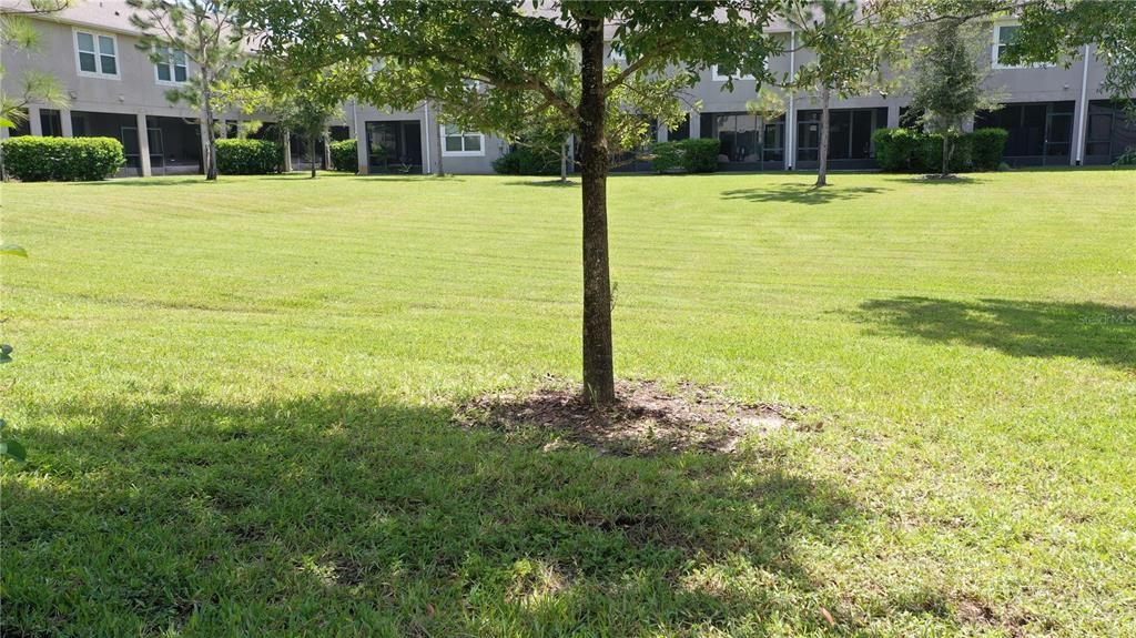 En Venta: $389,000 (3 camas, 2 baños, 1716 Pies cuadrados)
