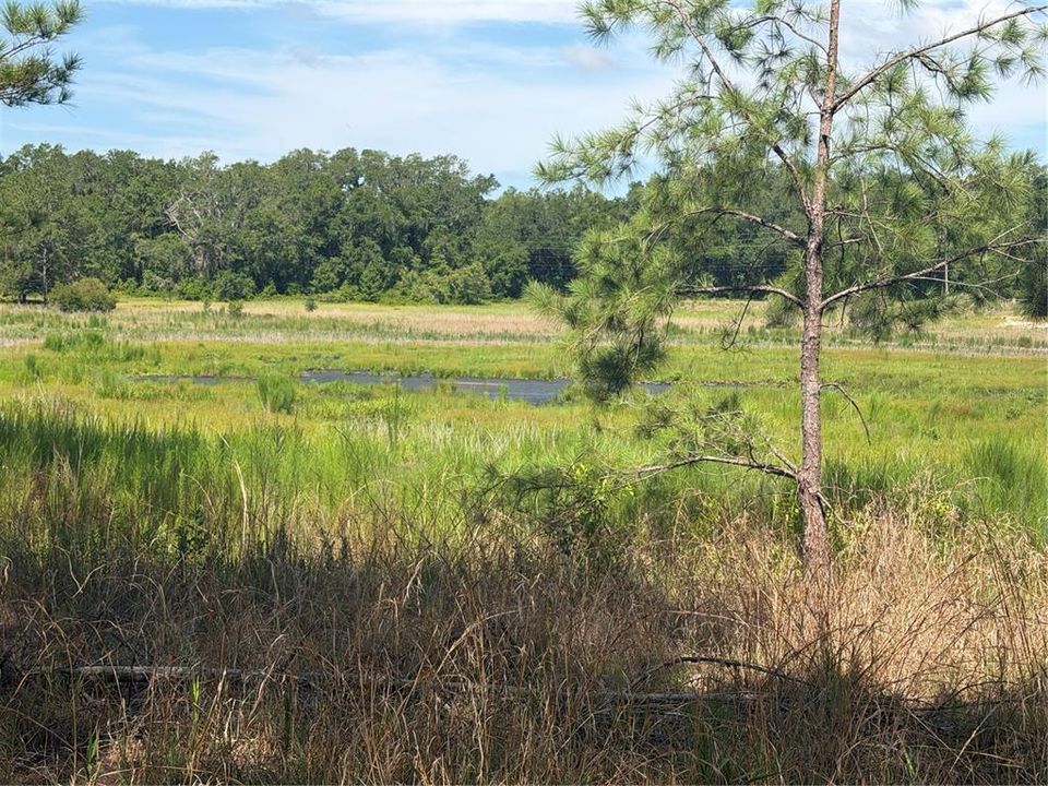 For Sale: $35,000 (0.30 acres)