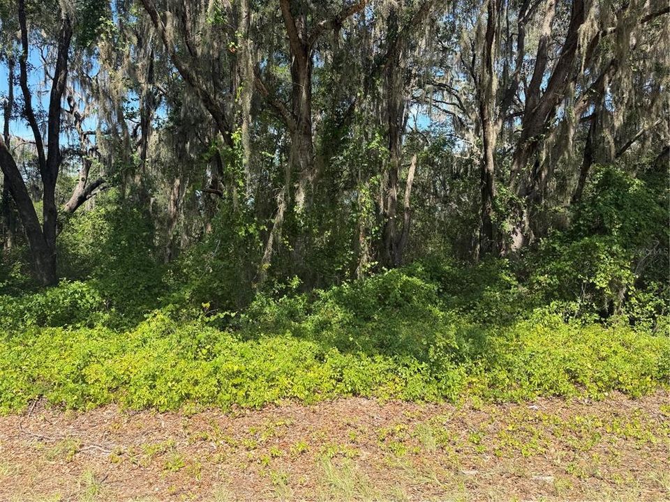 For Sale: $35,000 (0.30 acres)