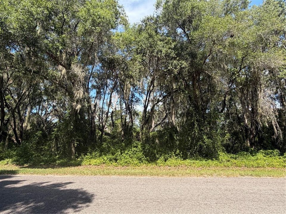 For Sale: $35,000 (0.29 acres)