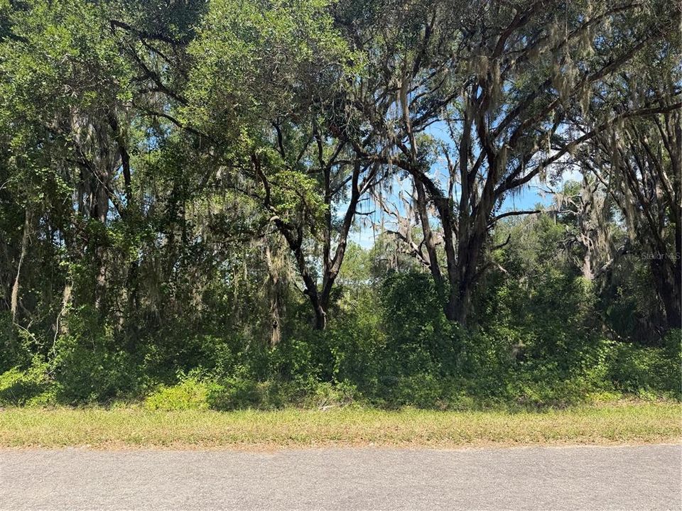 For Sale: $35,000 (0.30 acres)