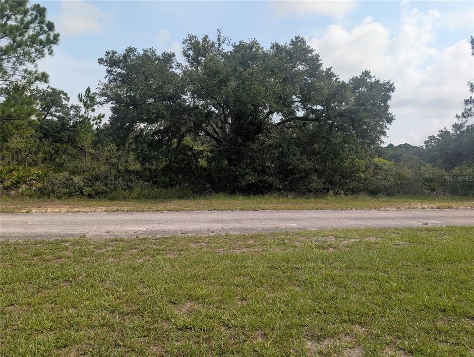 En Venta: $11,500 (0.50 acres)