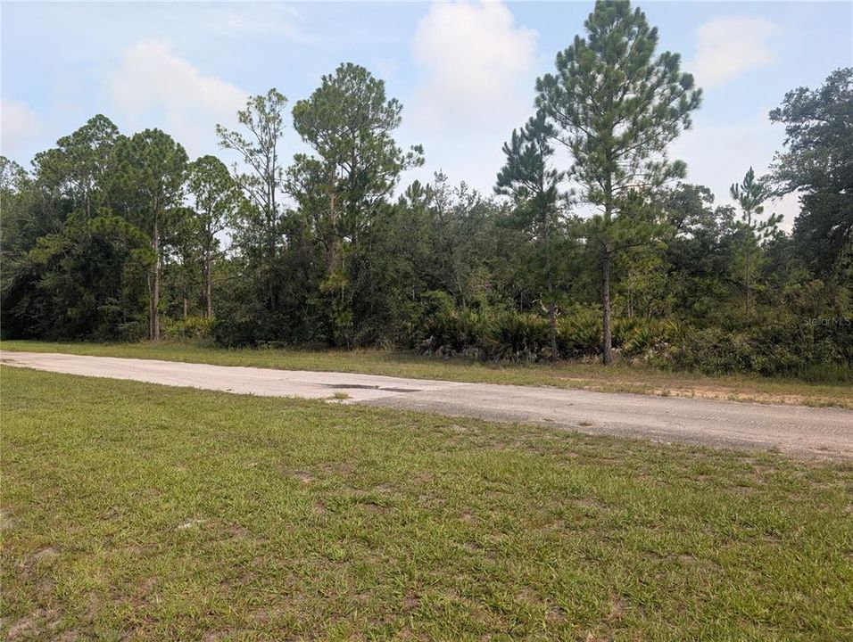 En Venta: $11,500 (0.50 acres)