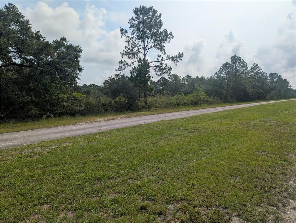 En Venta: $11,500 (0.50 acres)