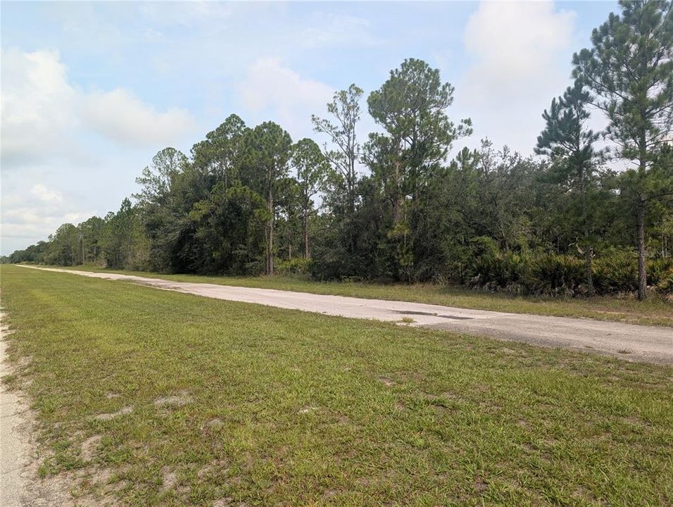 En Venta: $11,500 (0.50 acres)