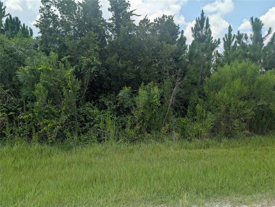 На продажу: $15,000 (0.50 acres)