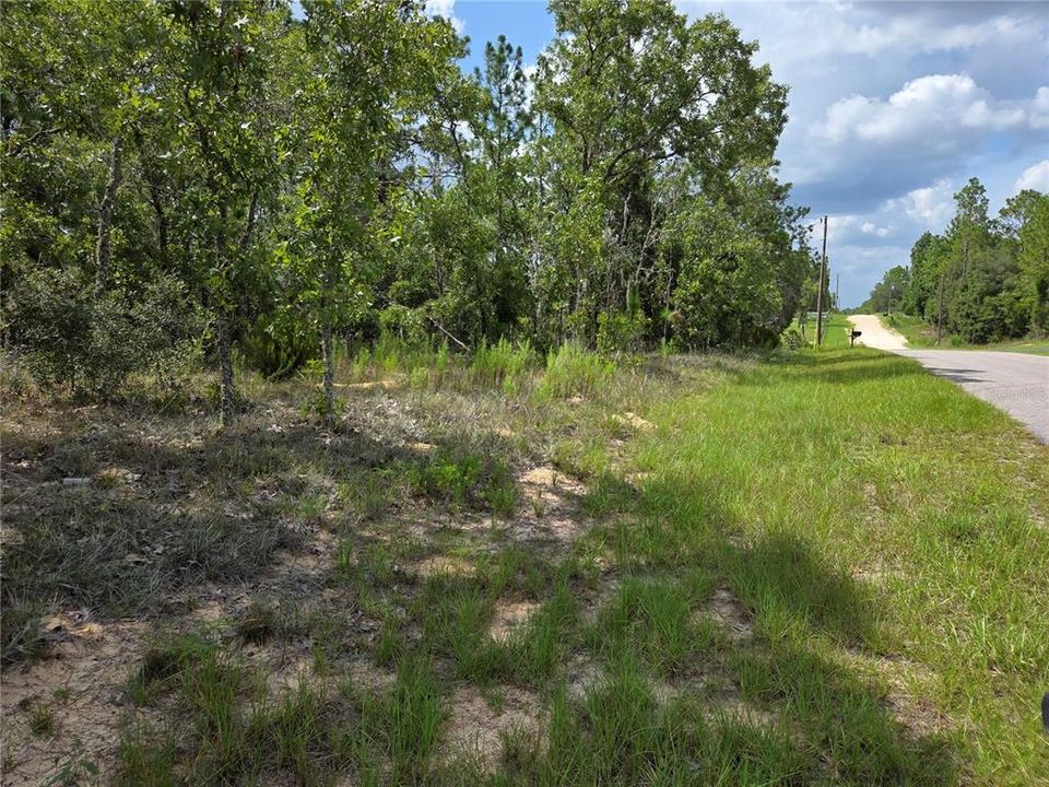 На продажу: $23,000 (0.23 acres)