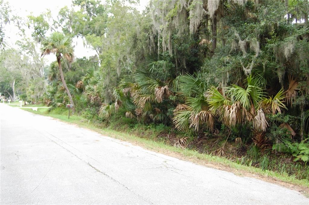 На продажу: $99,000 (0.44 acres)