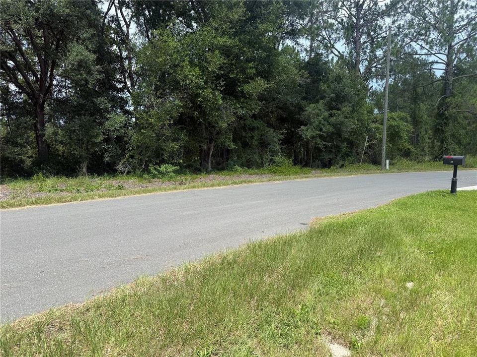 待售: $30,000 (0.41 acres)