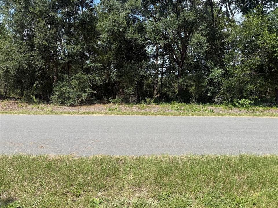 待售: $30,000 (0.41 acres)