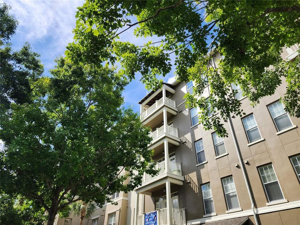 На продажу: $399,000 (3 спален, 2 ванн, 1603 Квадратных фут)