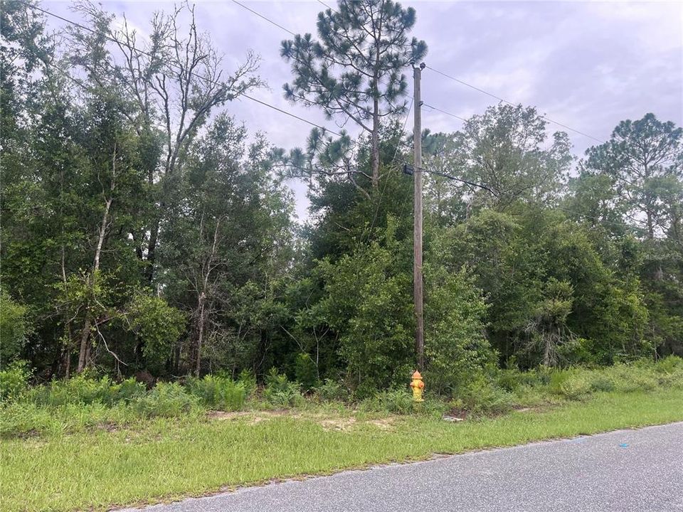 На продажу: $22,000 (0.39 acres)