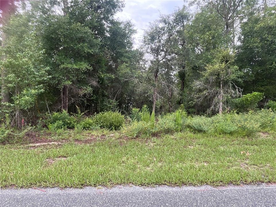 На продажу: $22,000 (0.39 acres)