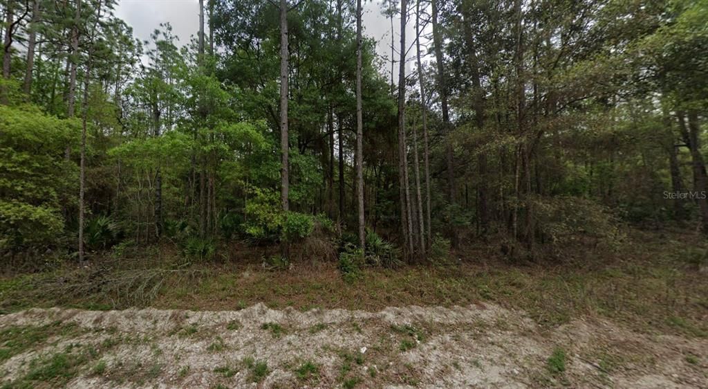For Sale: $45,900 (1.26 acres)