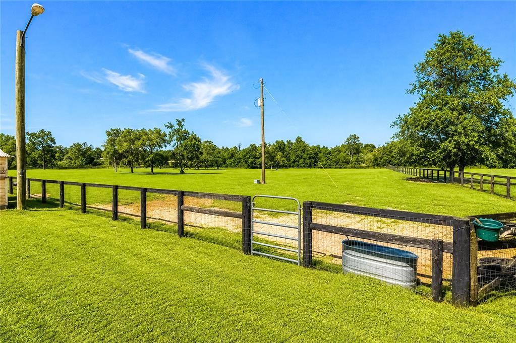 For Sale: $725,000 (3 beds, 2 baths, 2384 Square Feet)