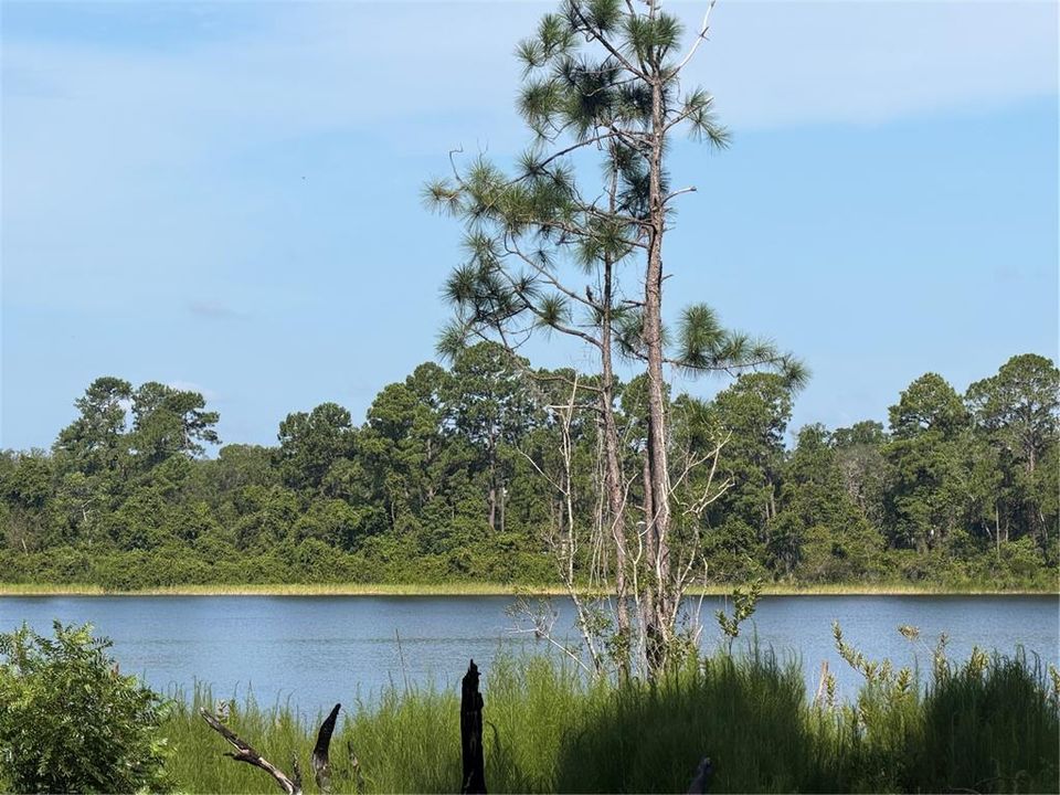 En Venta: $115,000 (0.84 acres)