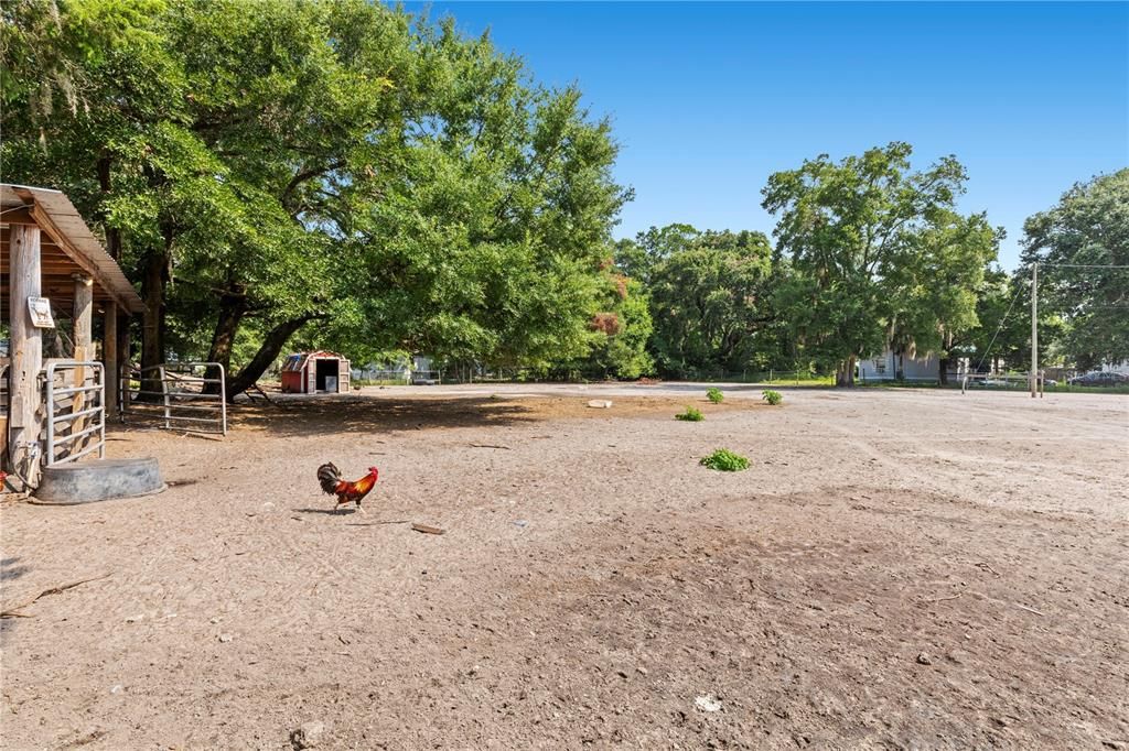 На продажу: $515,000 (2 спален, 2 ванн, 2170 Квадратных фут)